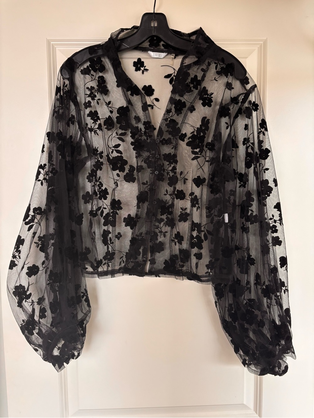 Kaktus Black Sheer Flocked Floral Mesh Button-Up Blouse - Medium